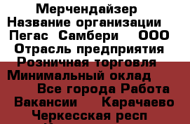 Мерчендайзер › Название организации ­ "Пегас" Самбери-3, ООО › Отрасль предприятия ­ Розничная торговля › Минимальный оклад ­ 23 500 - Все города Работа » Вакансии   . Карачаево-Черкесская респ.,Карачаевск г.